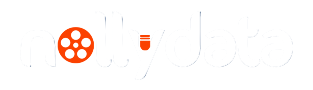 NollyData Logo